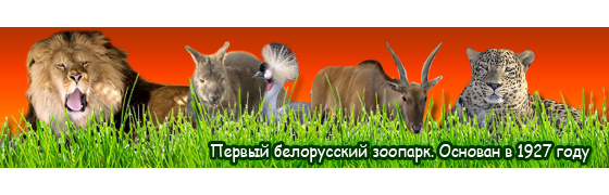 Животные сайт Животные сайт